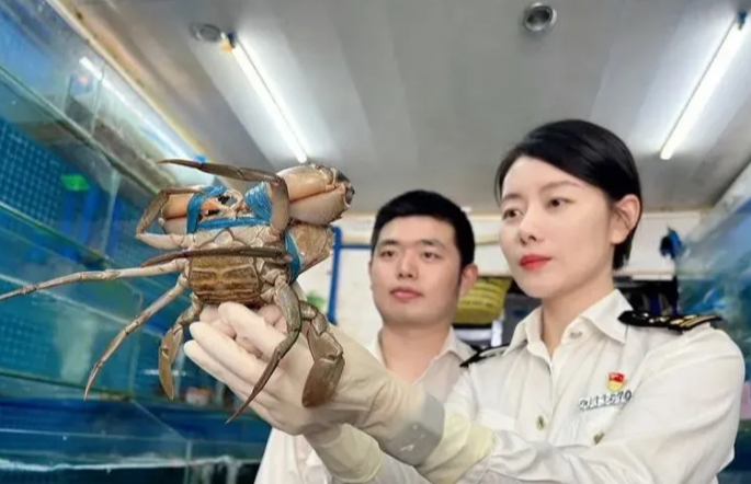 海南港一报关行