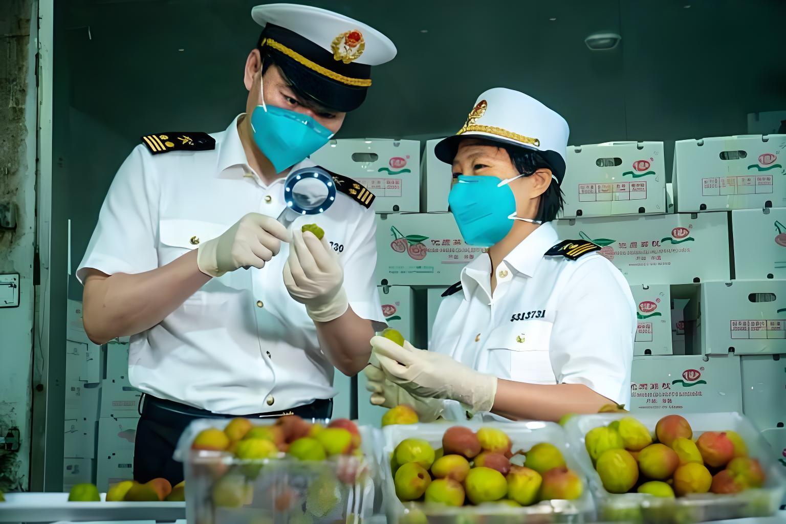 How to Declare Imported Fruit at Hong Kong Customs?