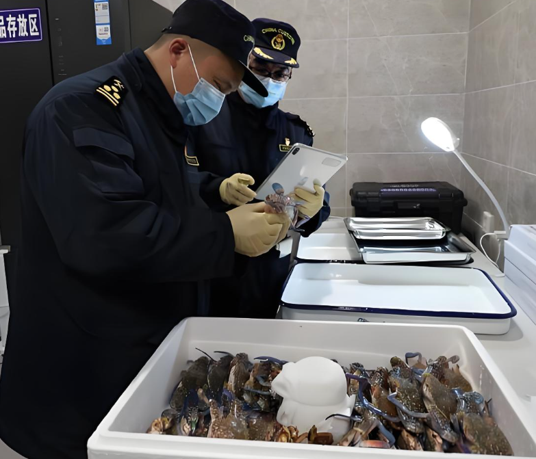 How to Arrange Customs Clearance for Seafood Imports into Hong Kong?